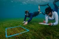 Laamafaru Festival returns to Laamu Atoll with focus on ocean conservation
