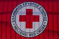 Greek Red Cross to Offer Free First Aid Training for Dogs in Athens