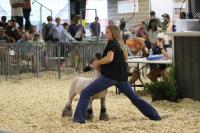 Delaware Farm Bureau supports youth at Junior Livestock Auction
