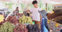 Xinjiang’s Turpan leverages its renowned grape industry to boost tourism