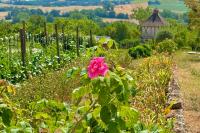 Good for the Soul (and Soil): Boulaur Abbey in France Offers Original Recipe for Monastic Revival