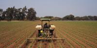 Diarrhea Summer: Brought to You by Trump, Big Ag, and the Climate Crisis