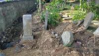 Tractor scatters bones at Polish Jewish cemetery