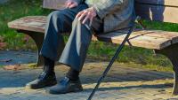 Wealth can separate physical independence by as much as 20 years