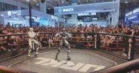 World Robot Conference draws crowds on public day in Beijing