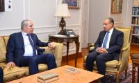 Egypt, Palestine stress preserving territorial unity in Gaza, West Bank