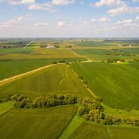 Chicago Fed: Farmland Values Show Signs of Cooling