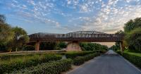 Dubai launches 102-metre bridge at Mushrif National Park