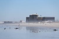 Virus-infected sardines force Koeberg to reduce energy output