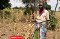 Govt finalises new climate Strategy to cut emissions, boost farmers’ resilience
