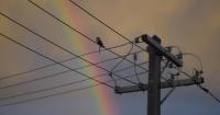 Call to cut energy bill premium to ease cost of living