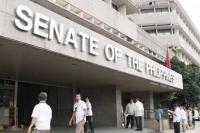 Analysts question need for economic recovery-focused Senate body