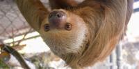 Despite the Deaths of 55 Animals at Central Florida Park, Officials Say There Was No Criminal Wrongdoing