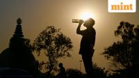 India monsoon 13% below normal as strong El Niño raises risk of hotter summer in 2027: Report —  What scientists say