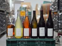 Is Korea really unsuitable for winemaking? This winemaker in Geochang says no