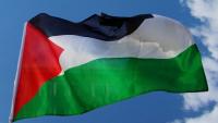 Ottawa mayoral cadidate promises to raise Palestinian flag at city hall if elected
