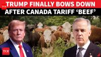 Canada Tariff War Over! Trump Bows Down After Mark Carney 'Beef'; Gets Humiliated on Cam | Watch
