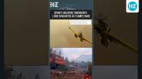 Spain Wildfire Rages in Valencia, Forces Evacuation of 1,000 Residents