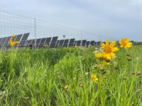 Sol Systems Expands Clean Energy Portfolio with Lumberton Solar Project Acquisition