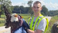 Bald eagle hit by car near Salem dies after being rescued by Indiana State Police trooper