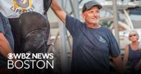 Blue marlin reeled in off Massachusetts may be largest-ever East Coast catch