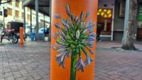 Cape Town bollards bloom with colourful floral artwork