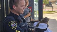Kangaroo or Monkey? Texas Cops Rescue Mystery Creature With Burned Paws