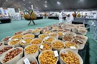Three Abu Dhabi date festivals draw 180,000 visitors