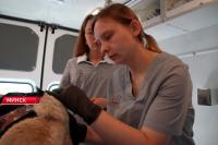 Belarus gets its first mobile veterinary clinic