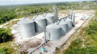 Kimbia bean facility set to boost Region 10 production, exports
