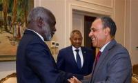 Egypt, Sudan FMs seek stronger economic cooperation