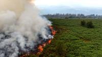 One part of Wales had fourth-highest carbon emissions in the world during wildfires
