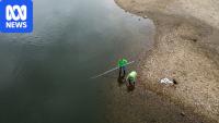 'Exceptional' summer heatwaves in Europe hurting economy