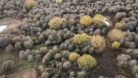 The forgotten farm that nature reclaimed