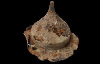 2nd-century warrior’s shield boss discovered in Polish scrap yard