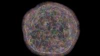 Proximity resolution: Swedish Pixelgen raises $15.5M to take cell architecture platform global