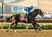 Saratoga Notebook, Presented by NYRA Bets: Knightsbridge Made for Some Great Late Night TV For Mott