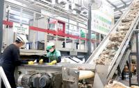 EU packaging rules test green direction