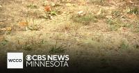 How Minnesota's current drought compares to others in the past