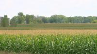 Nearly half of Minnesota experiencing severe drought conditions