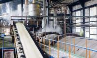 Egypt Allows Sugar Exports After Domestic Demand Fully Met