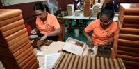 Andy Burnham embroiled in row with Cuba as 'smoke-free Britain' plans put cigar trade at risk