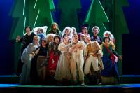 Musical review: Into the Woods