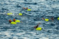 Dhiraagu Malé Open 2026 concludes with record 420-plus swimmers