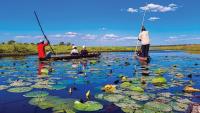 BIDPA projects tourism growth at 0.56%
