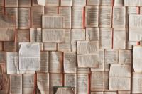 Five Essential Books for Understanding the Chaos of Trump 2.0