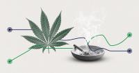 U.S. Marijuana Smoking at Record High, Cigarettes at Low