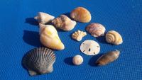 What NJ law says about taking sand, shells from Jersey Shore beaches 