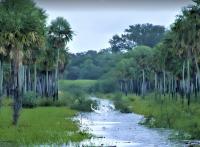International Day Of National Parks And The People Protecting Paraguay’s Wild Places