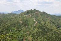Africa’s Great Green Wall: Transforming Land Degradation into Economic Opportunity